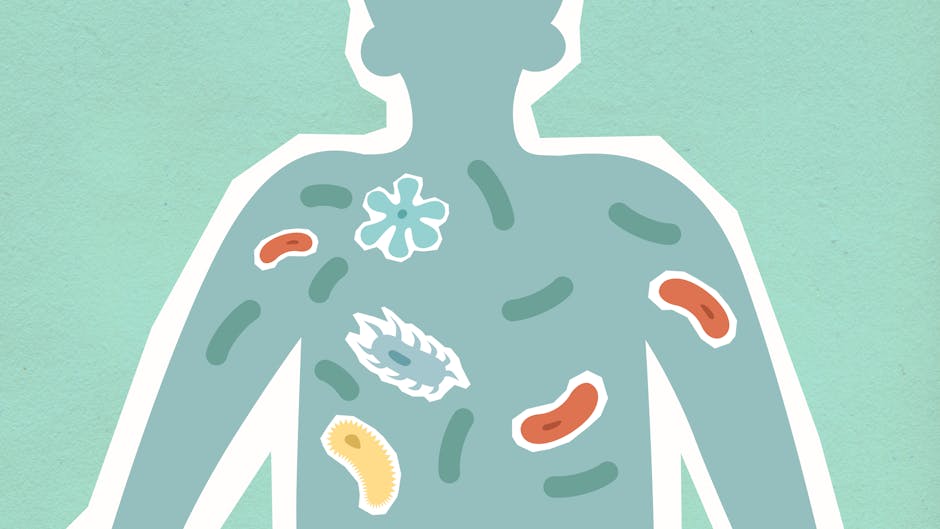 Cutout paper illustration of person with bacilli in body