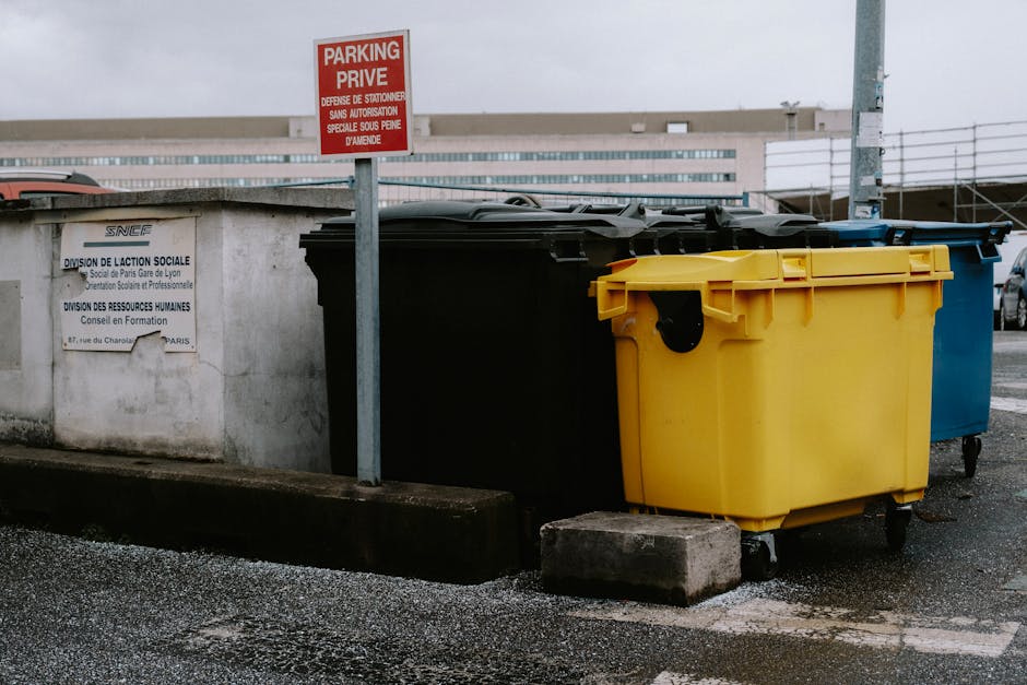 Dumpster Rental Services in Taunton