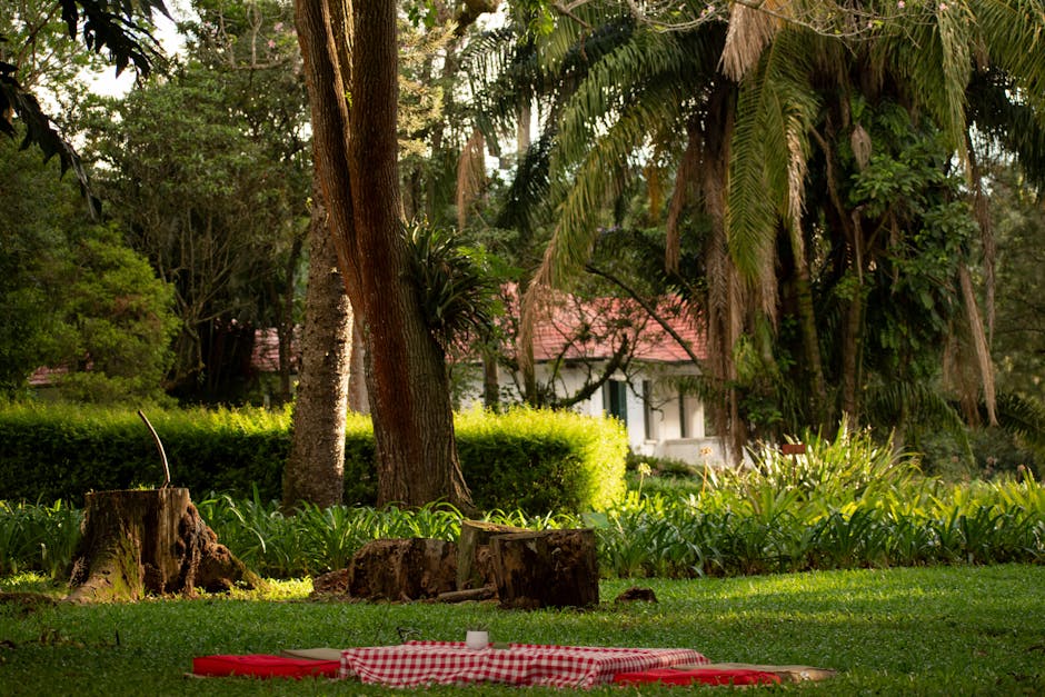 A Picnic Blanket and Pillows Lying on the Ground in a Park