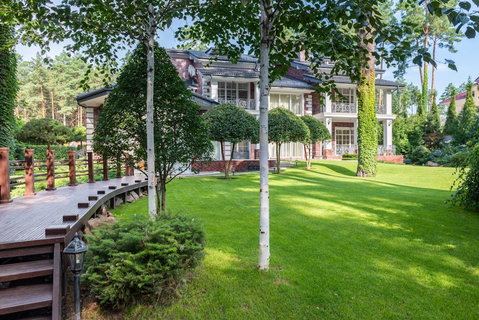 Empty wooden pathway near green grass and trees on meadow near cottage facade in sunny summer day