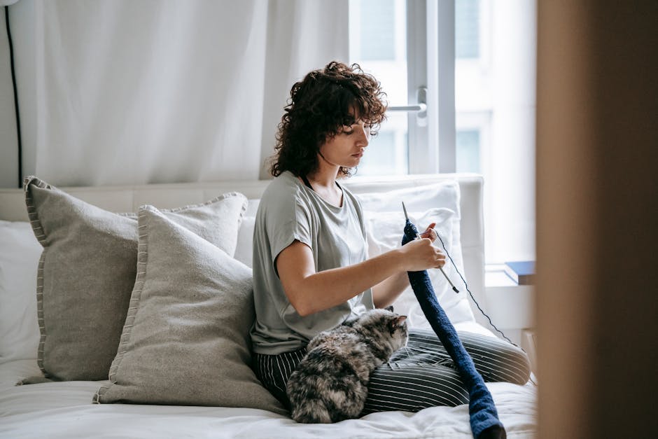 Adorable cat sitting on legs of concentrated young ethnic female owner with curly hair knitting on bed during weekend at home