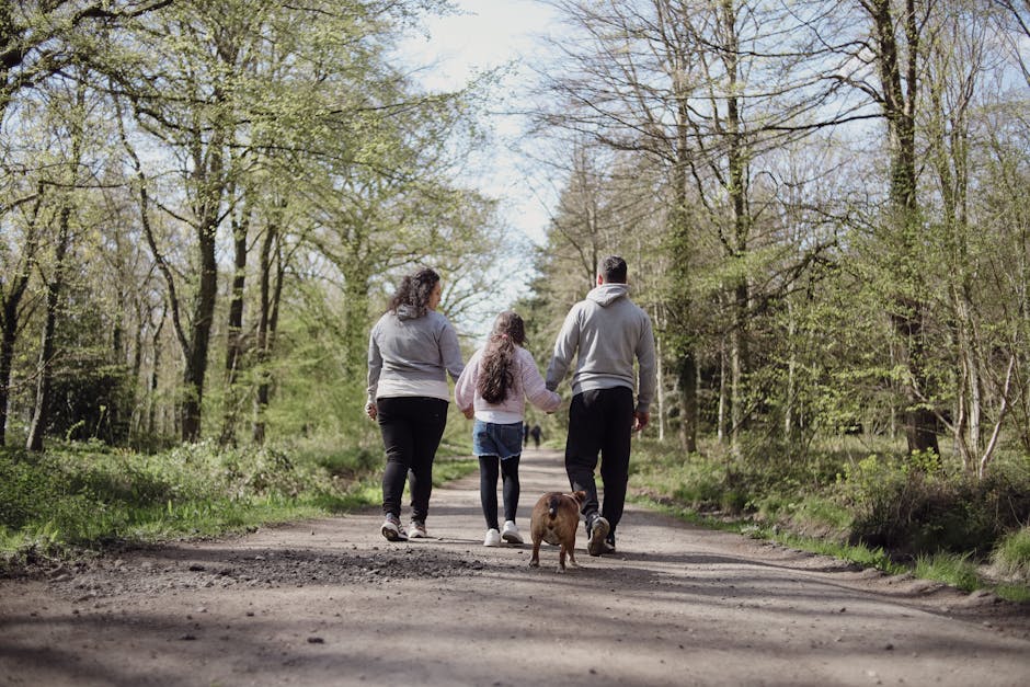 family walking on the forest road