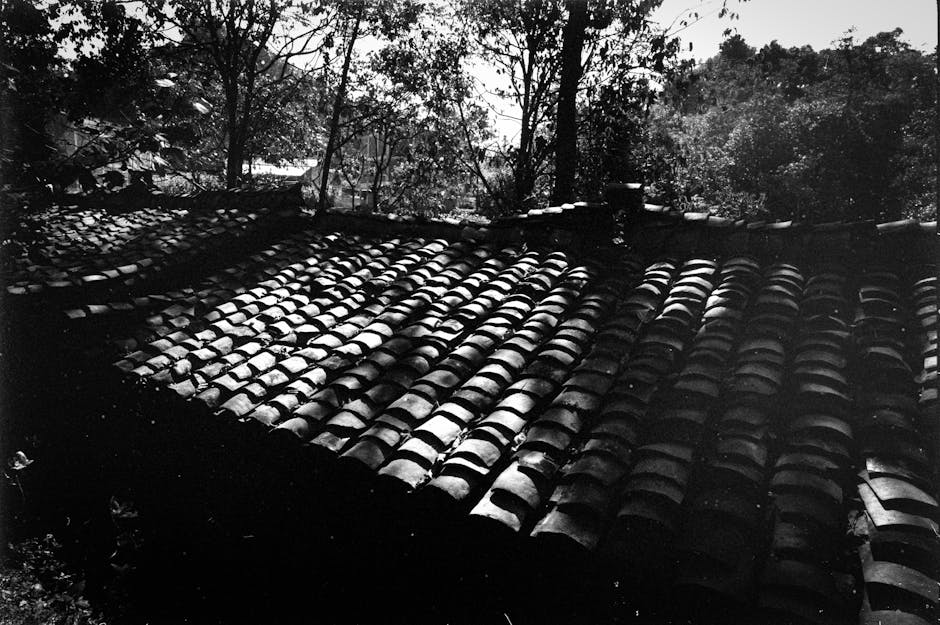 Black and white photograph of a roof with tiles