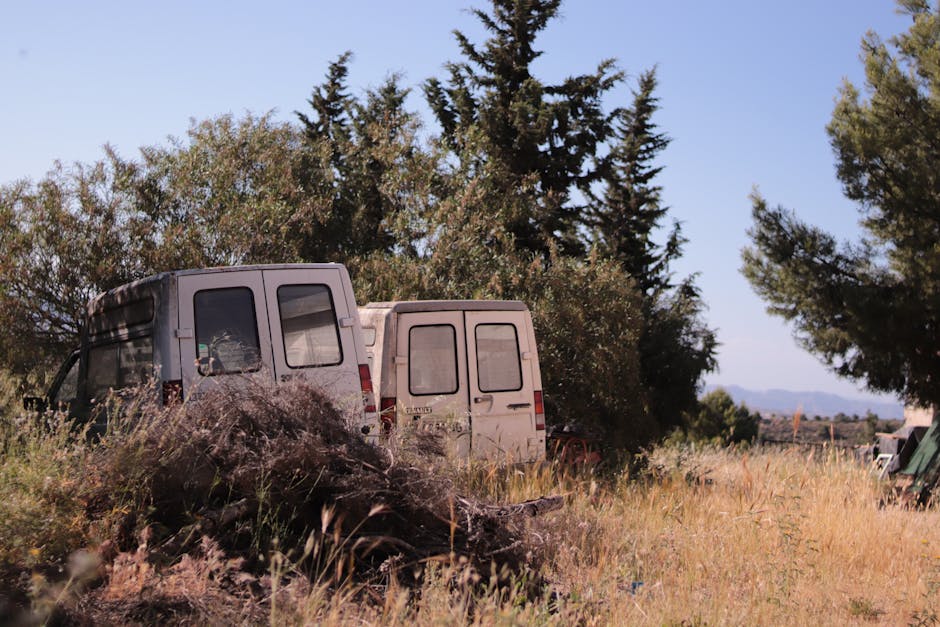 Offroad Cars in Wild Countryside