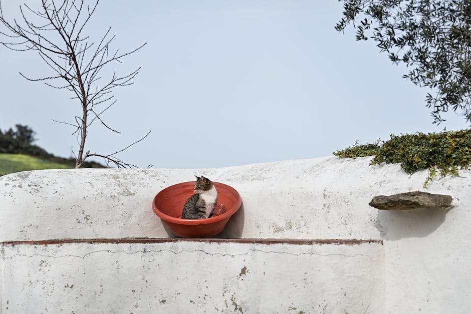 Aldeia da Mata Pequena