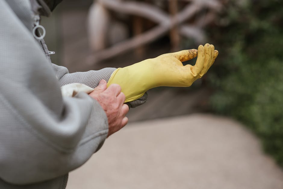 Crop faceless male beekeeper in protective uniform putting on gloves for safety harvesting honey in countryside