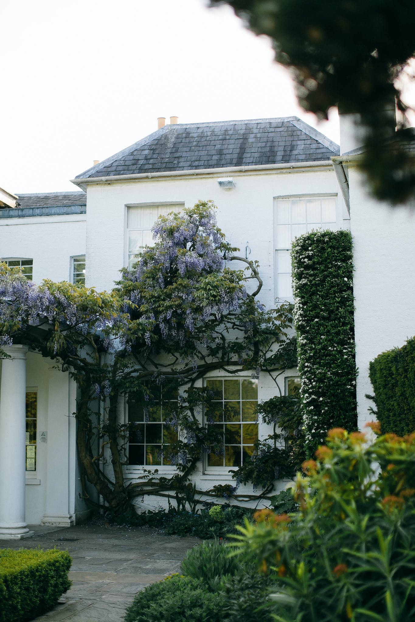 White Concrete House With Green Plants