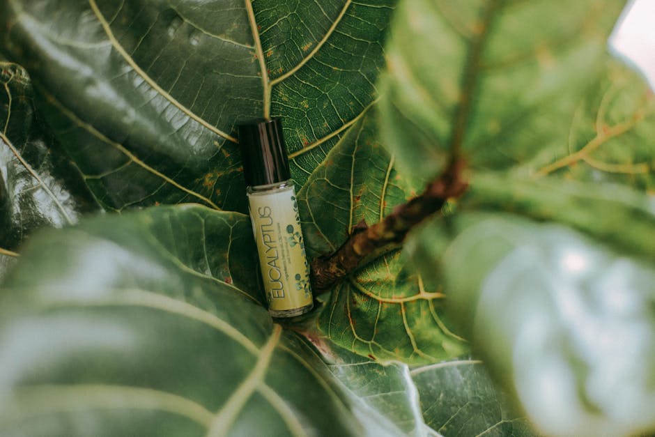 Eucalyptus Labeled Bottle on Green Leaf