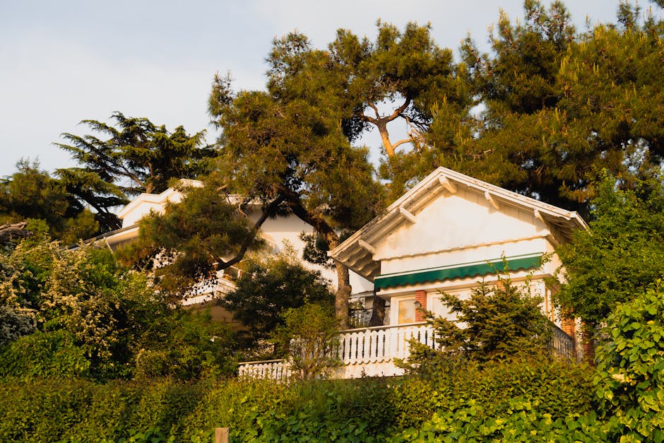 A house with a green roof and trees in the background