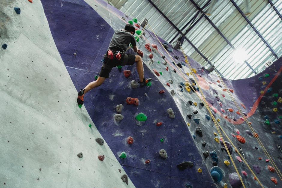 Low angle back view of unrecognizable sportsman climbing wall with holds while practicing alpinism under roof