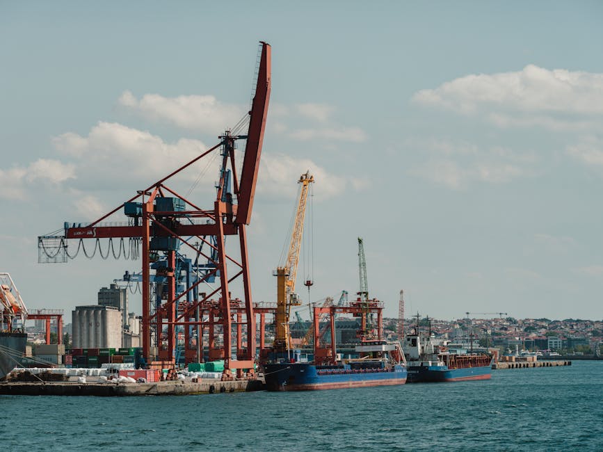 Harbor Cranes Under Blue Sky