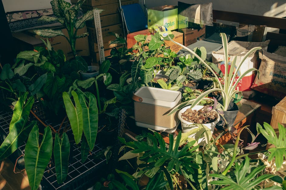 Load of Potted Plants and Boxes