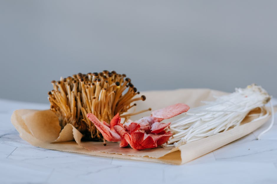 Assorted velvet shank and lobster mushrooms placed on craft paper on white marble take against gray background