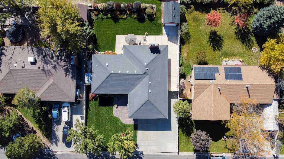 Houses in the Neighborhood