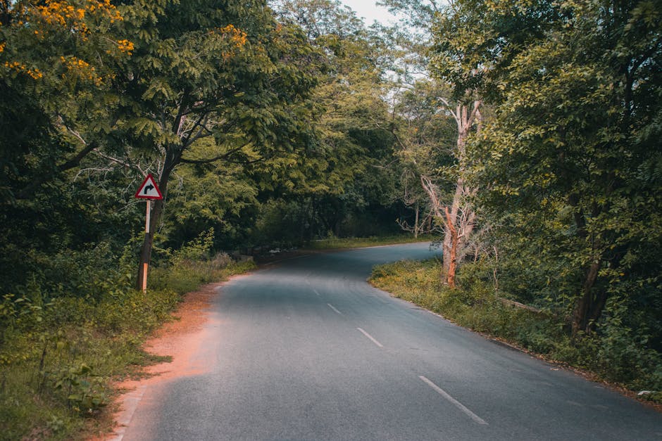 A road with a sign on it in the middle of a forest