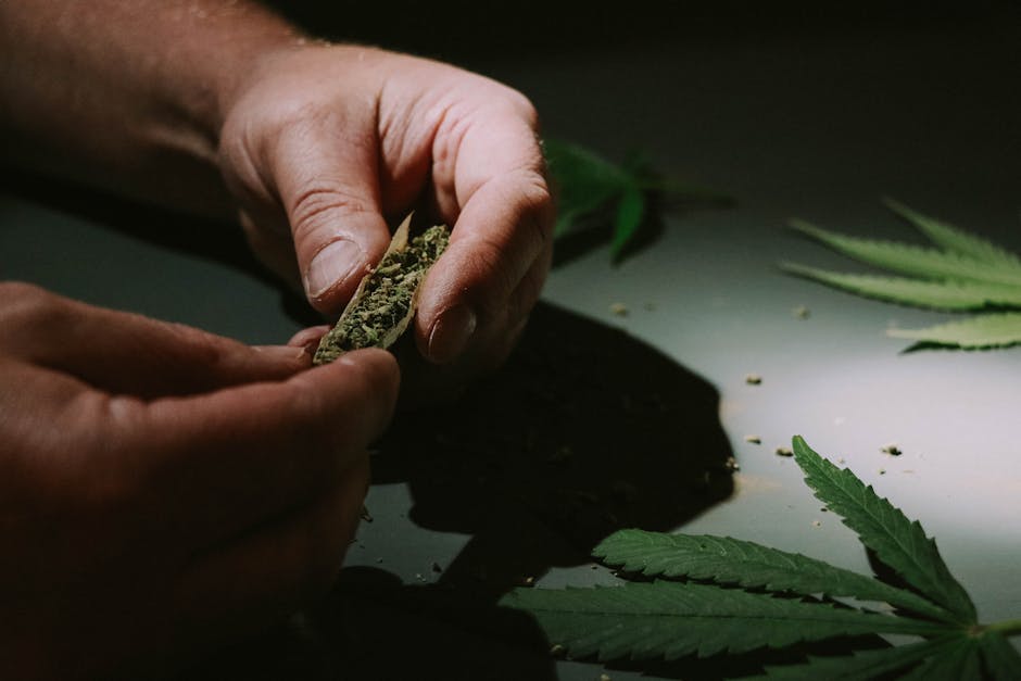 A Person Rolling Marijuana