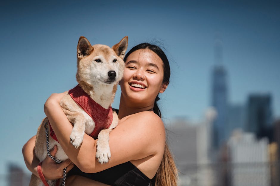 Happy ethnic female demonstrating cute funny dog and smiling on blurred background of city