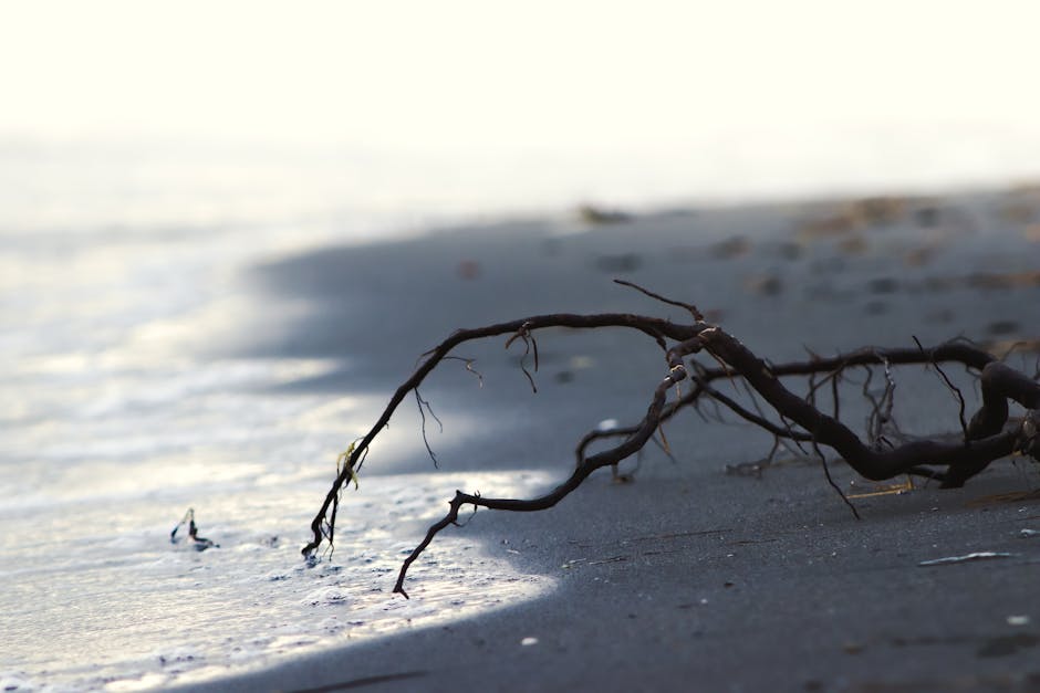 A branch on the beach with water flowing over it