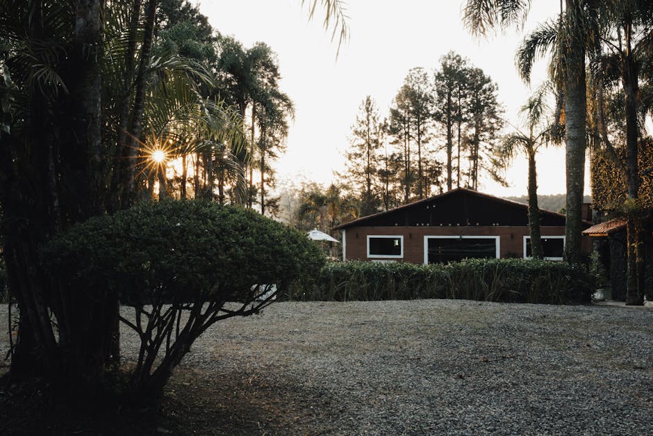 A house with trees and bushes in the background