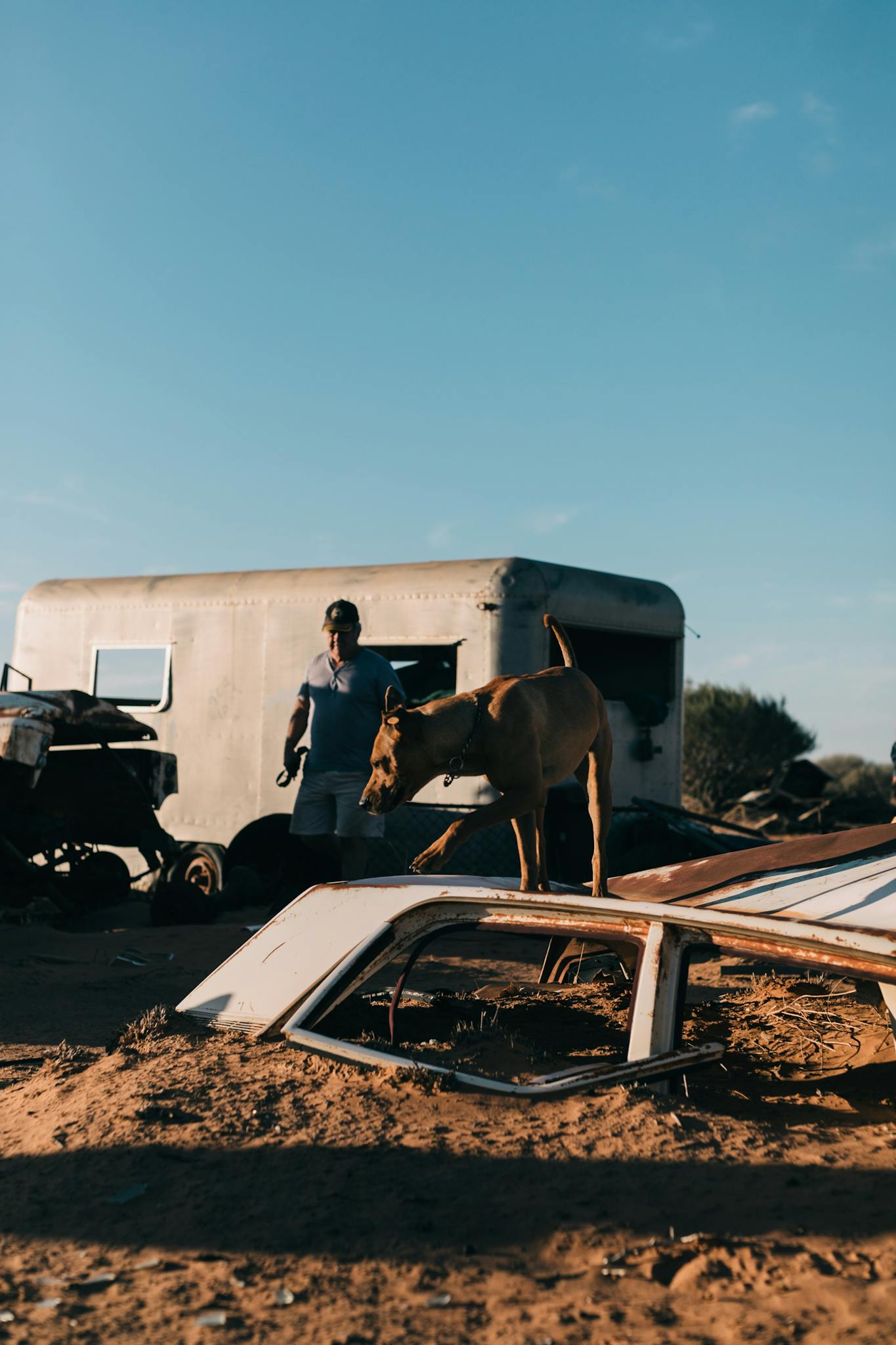 Owner with dog in desert among damaged vehicles