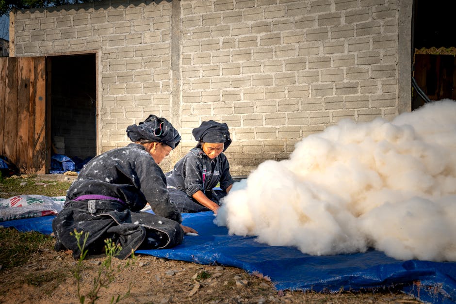 Full body focused hardworking Asian female farmworkers in dirty uniforms sorting collected cotton and sitting on ground in countryside