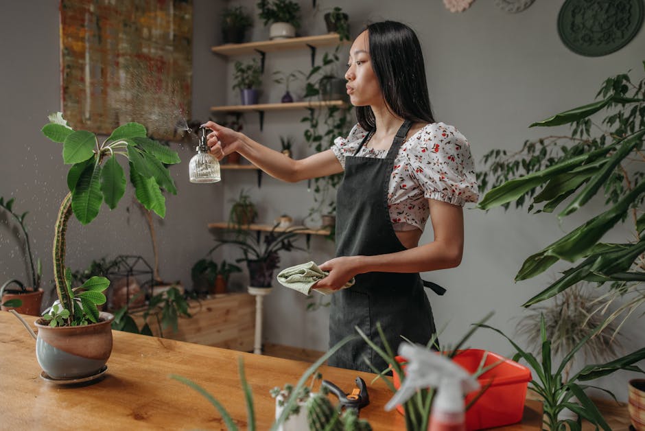 Free stock photo of apron, arrangement, care