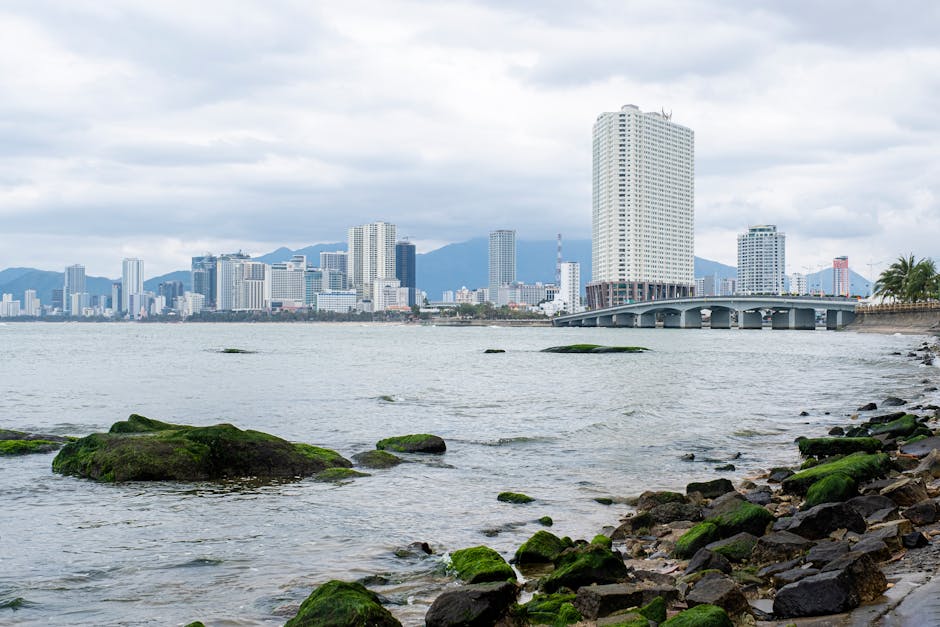 Cityscape near calm sea