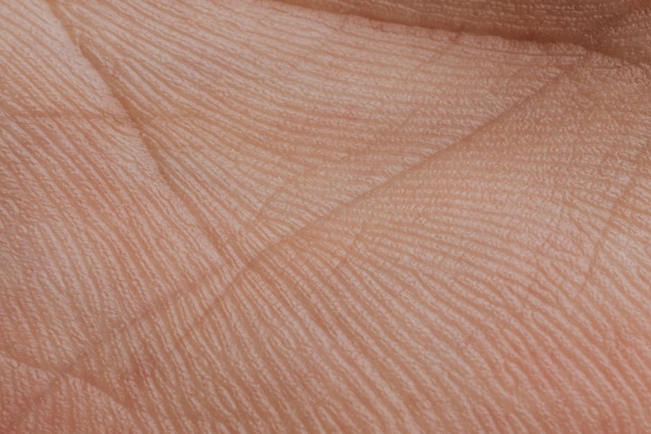 Close-up View Of Human Palm