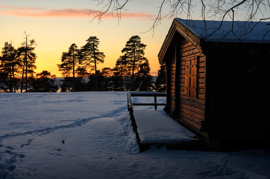 View of a Wooden Cabin and Silhouetted Trees in Winter at Sunset