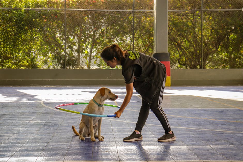 A woman is holding a hula hoop in front of a dog