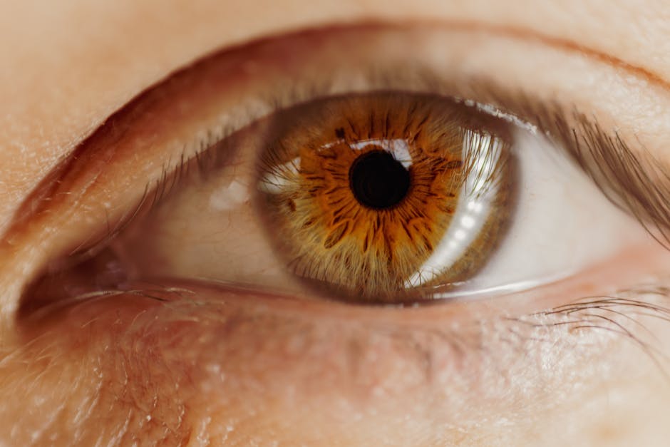 A close up of a person’s eye with brown iris