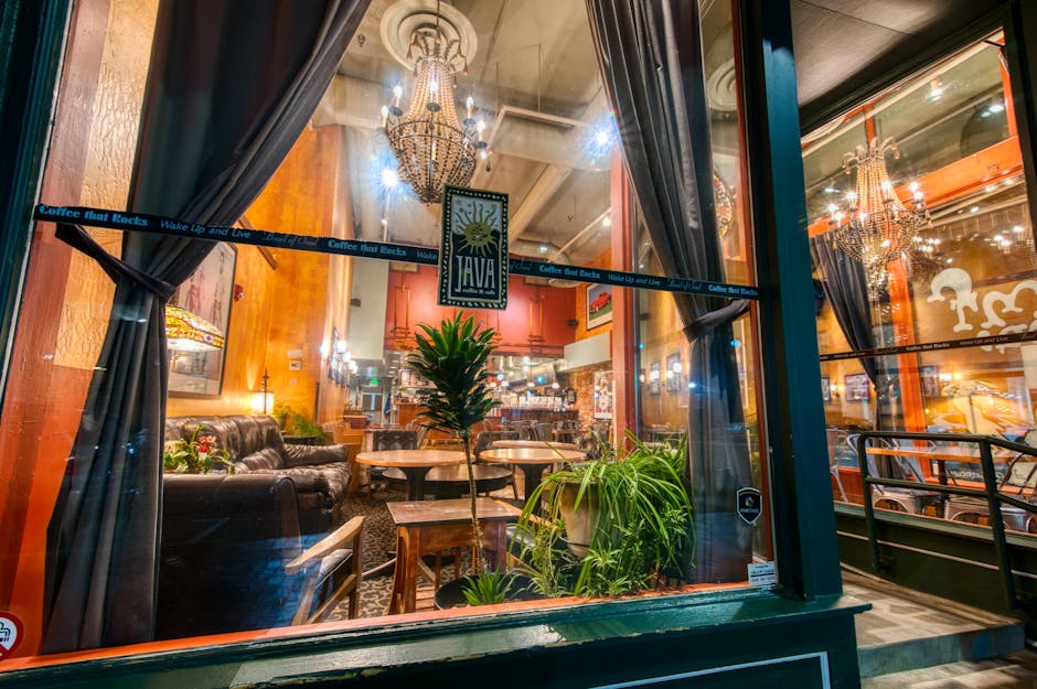 Through window interior of cozy cafe with classic design and vintage furniture decorated with fresh green plants