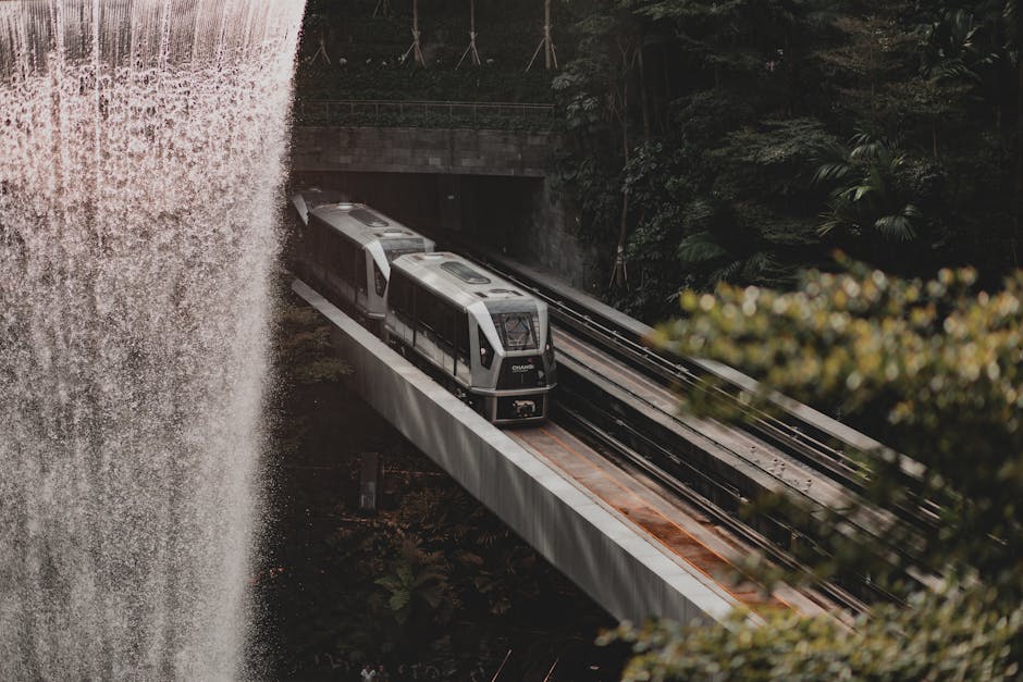 Scenic view of modern fast train going along railroad under waterfall bridge near lush forest trees on sunny day