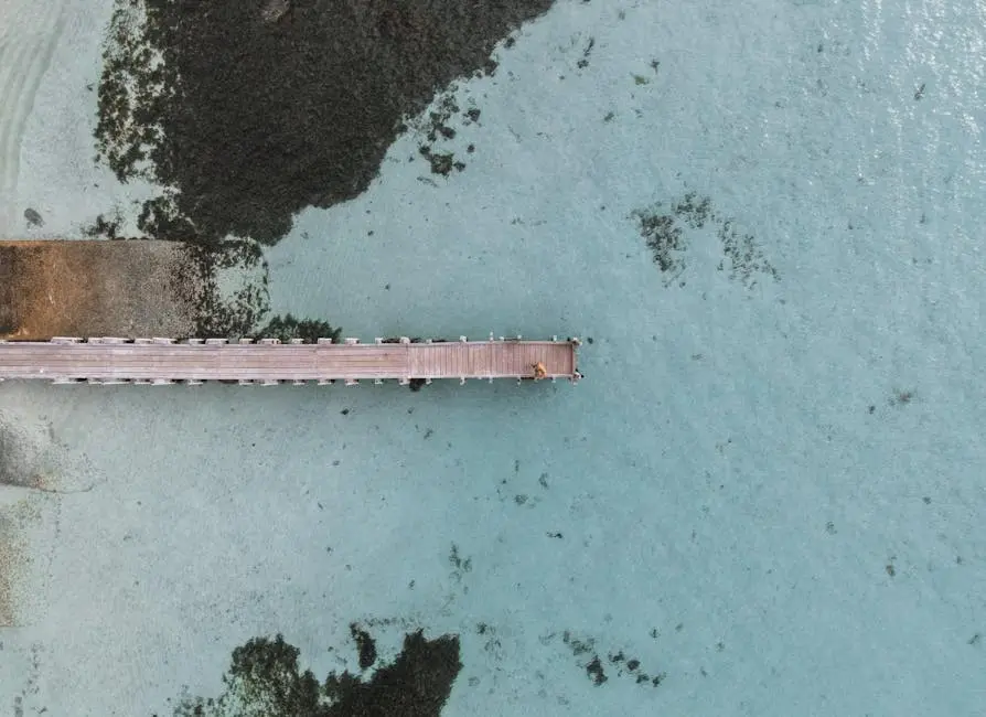 Aerial shot of a wooden dock extending over clear turquoise waters, perfect for travel and nature themes.