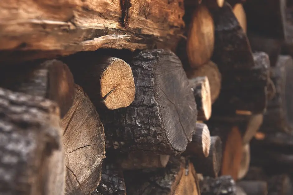 Detailed view of stacked chopped wood showing texture and warmth.