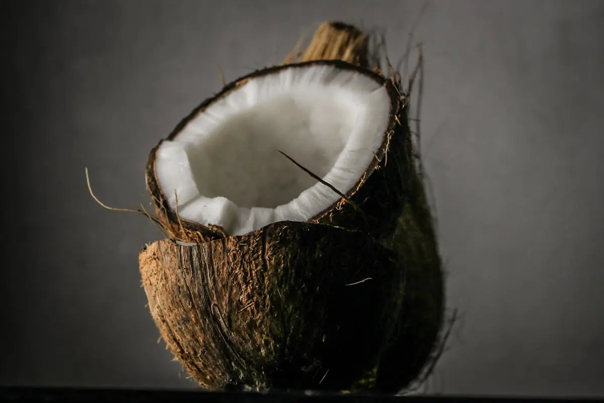 Close-Up Photo of Coconut