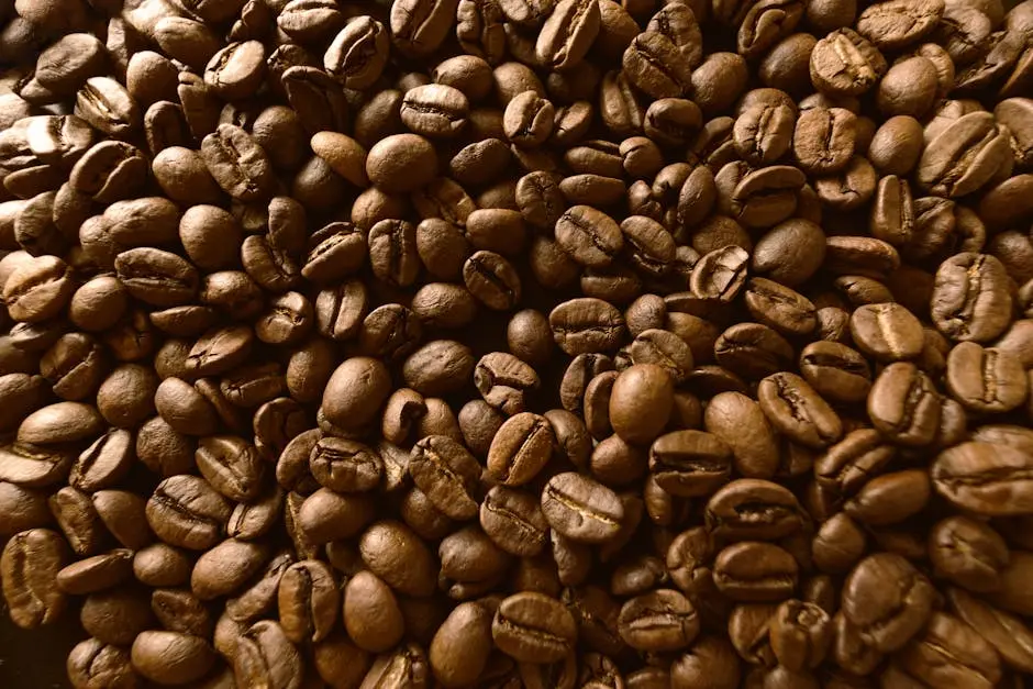 Close-up of Coffee Beans