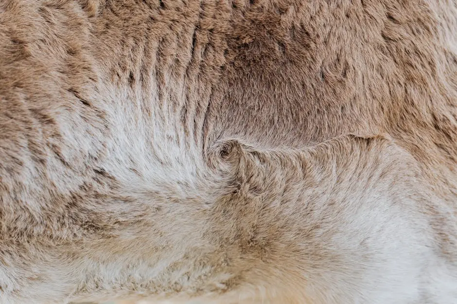 Close-up of a Brown Fur of an Animal