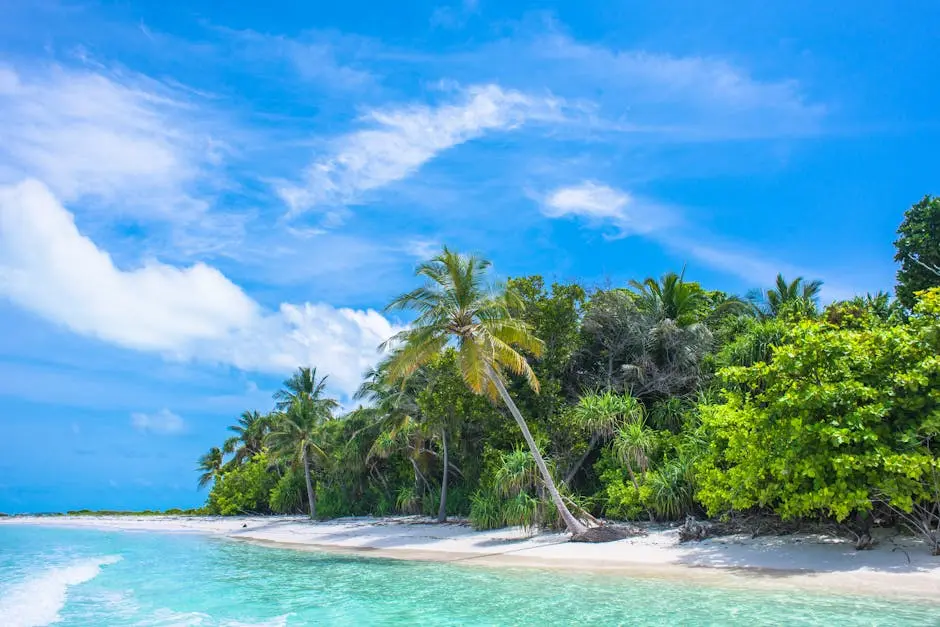 A serene tropical beach scene with coconut palms, white sand, and clear water under a bright blue sky.