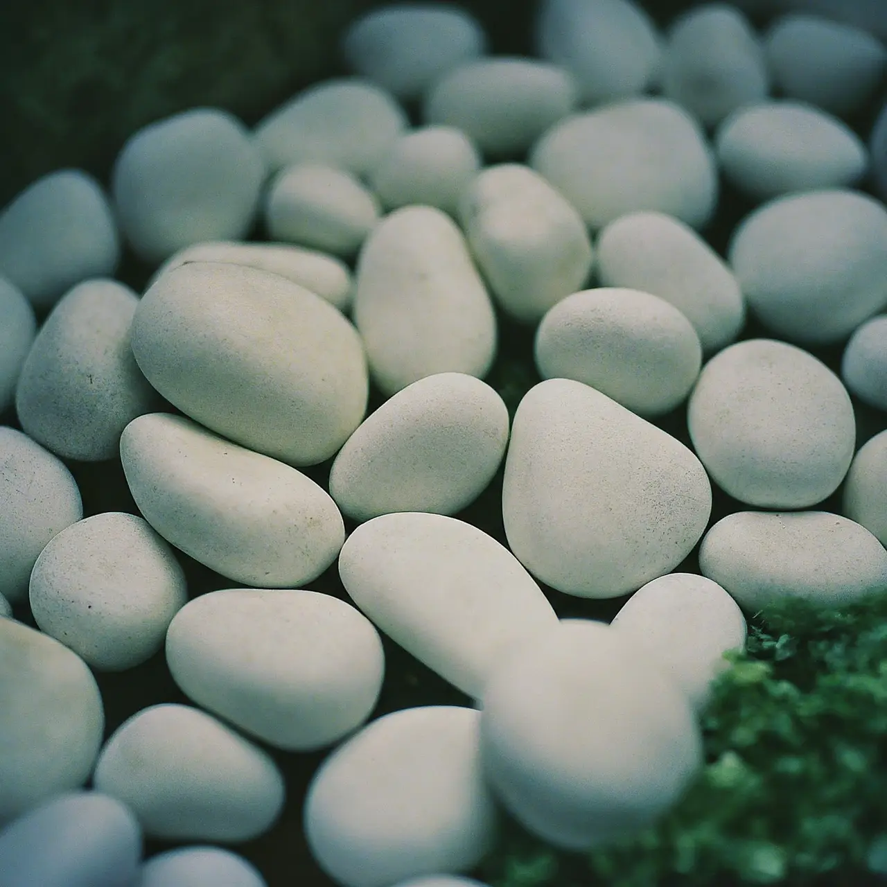 Close-up of snow white pebbles in a backyard garden setting. 35mm stock photo