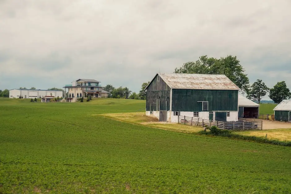 Farm in Countryside