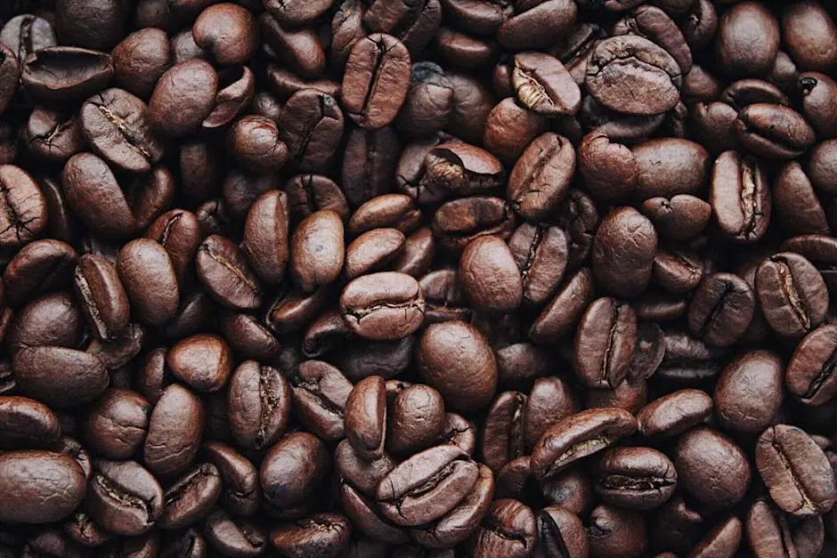 A detailed view of aromatic roasted Arabica coffee beans, highlighting texture and brown color.