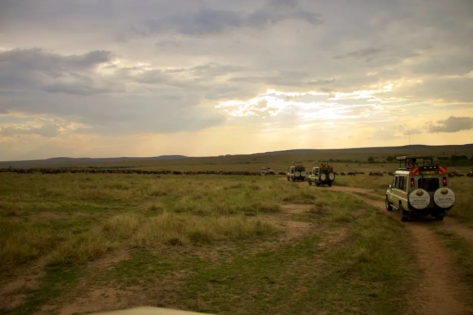 A thrilling safari adventure with 4x4 vehicles navigating the scenic African savannah at sunset.