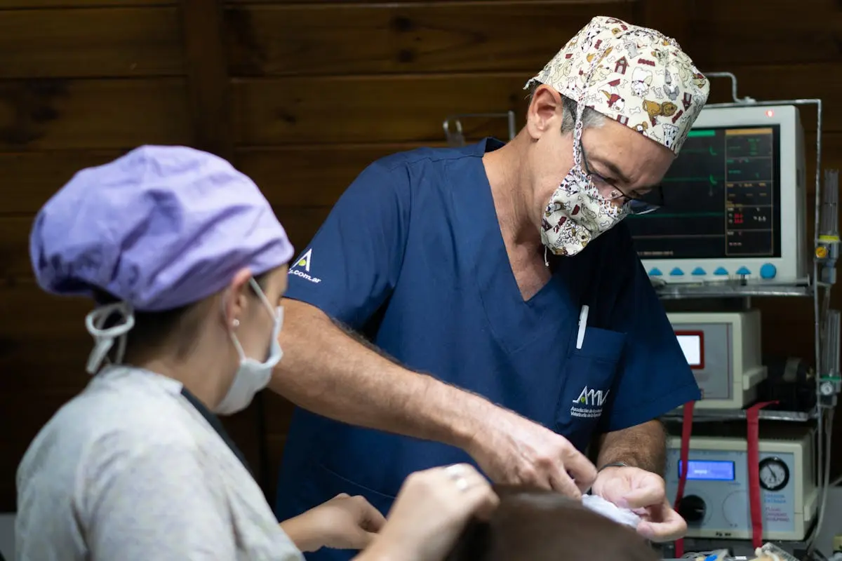 Veterinarian in PPE conducting a medical procedure indoors with monitoring equipment.