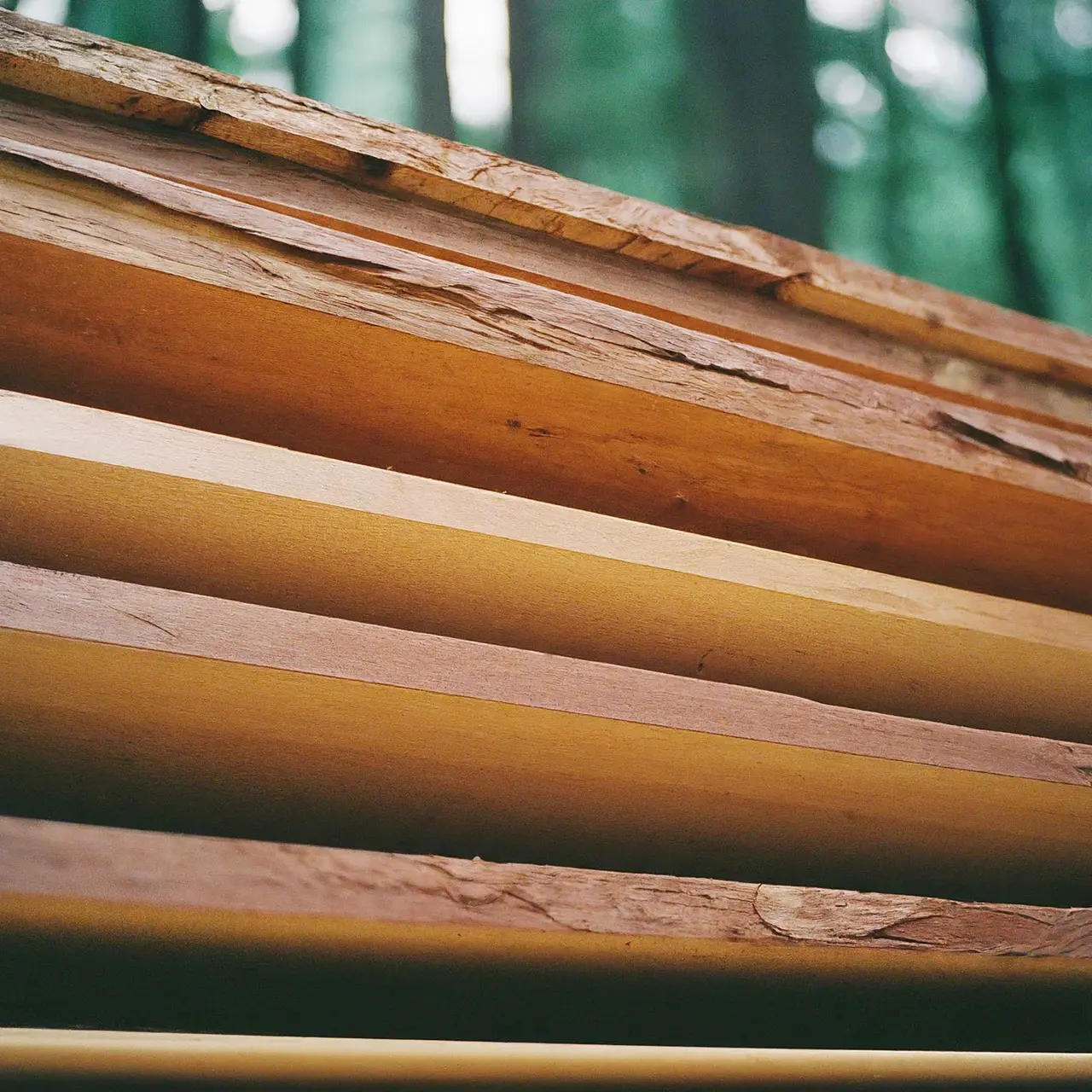 Redwood lumber planks in an outdoor setting. 35mm stock photo