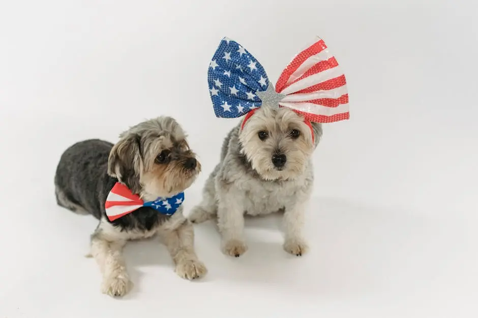 Funny puppies with decorated bow ties and band relaxing against white background in studio