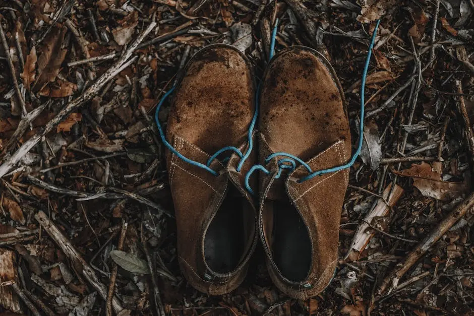 Old leather shoes with blue laces resting on a forest floor, surrounded by leaves and twigs.