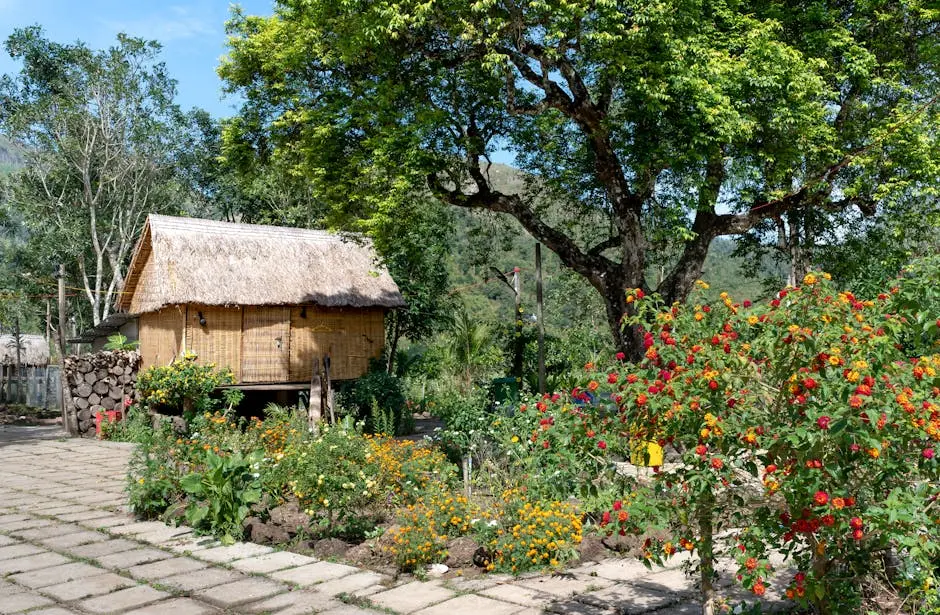 Country Garden and a Shed