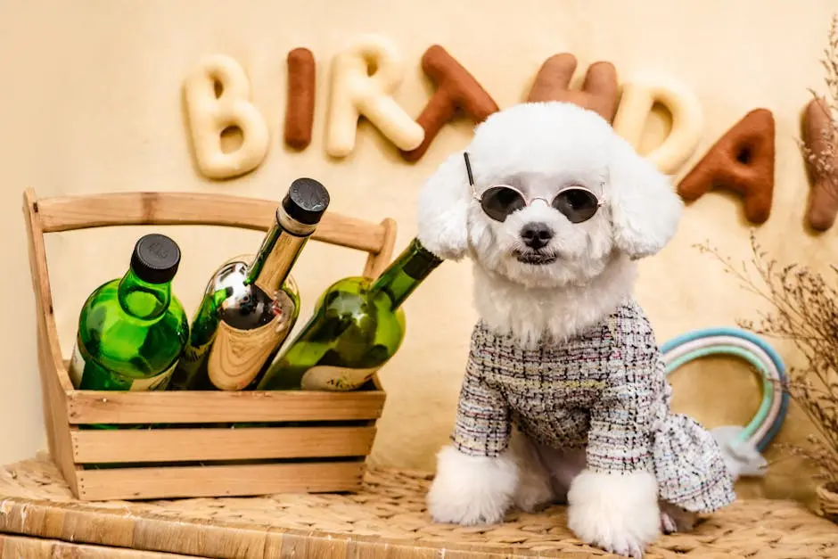 White Toy Dog in Clothes and Sunglasses near Bottles in Basket