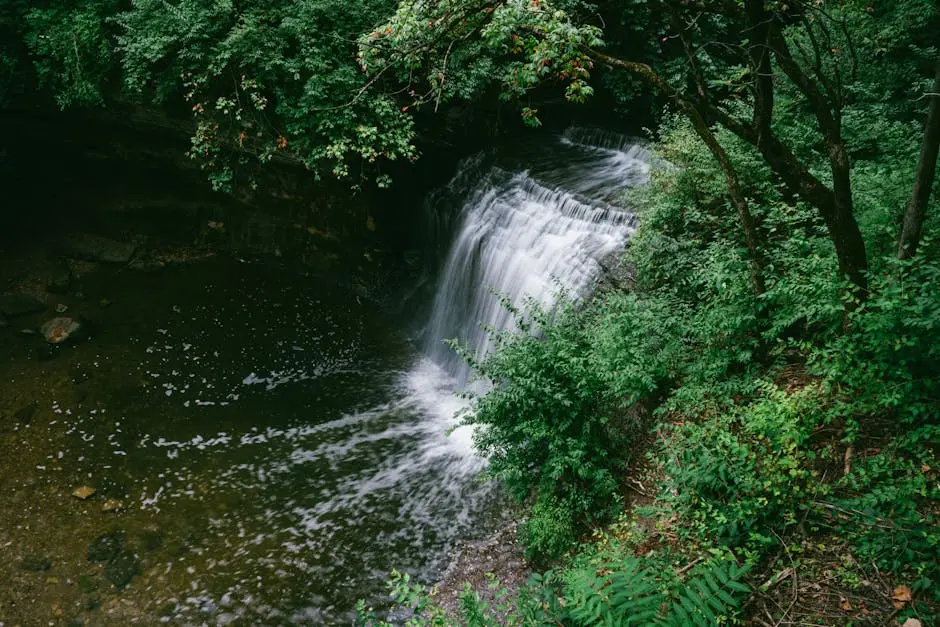 A waterfall in the woods surrounded by trees